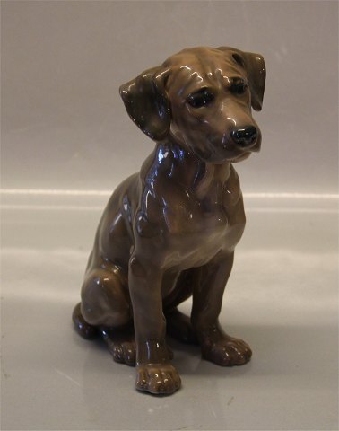 B&G Figurine B&G 1746 Dachshund sitting 19 cm