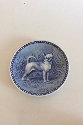 Tove Svendsen Original Hundeplatte Danmark Korthåret Chihuahua, Kurzhaarig Chihuahua, Smooth Chihuahua