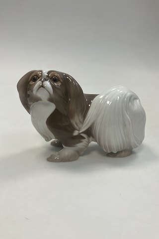 Bing and Grondahl Figurine Japanese Chin Dog / Pekingese No. 2114