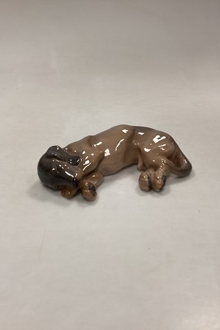 Royal Copenhagen Figur - Sovende Gravhund No. 1238/781