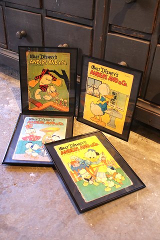 Dekorative , gamle Walt Disney Anders And blade fra årgang 1954 & 55 , er indrammet i sort ramme. 30x24cm...