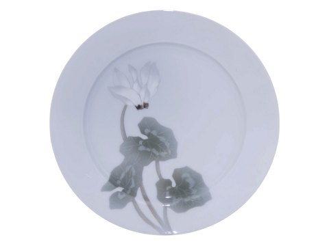 item no: 642282