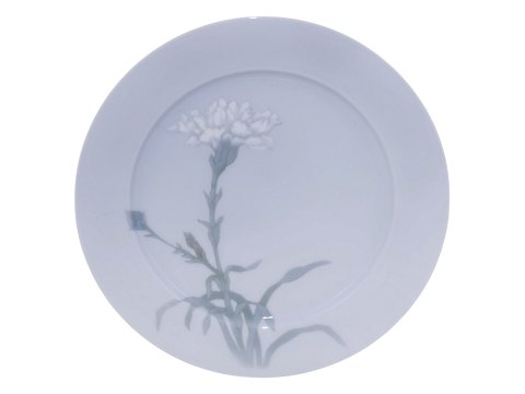 item no: 642284