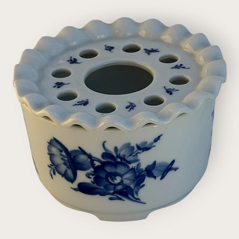 Royal C: Blaue Blume ...