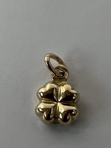Guld Vedh�ng / Charms