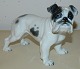 Rosenthal figure of an English bulldogDesigned by Fritz Heidenreich in 1937Marked on base with green Rosenthal GermanySigned Heidenreich Stands 13 cm x 18 cm