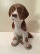 Bing & Grondahl
Saint Bernard puppy
# 1926
*400 DKK