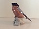 Bing & Grondahl
Chaffinch
# 1909
*400DKK