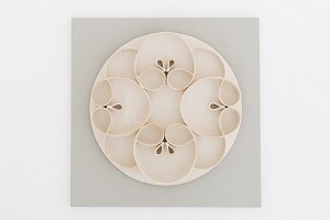 nr.1041276-3 nr.1041276-3