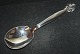 Compote / Serving spoon, Pinje / Bittersweet # 79