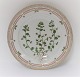Royal Copenhagen, Flora Danica. Middags tallerken. Design #3549. Diameter 25 cm. 
(1 sortering). Veronica agrestis L
