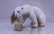 B&G 2239Isbjørn med unge