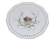 White Flora Danica
Luncheon plate decorated with musk ox from 
1840-1893