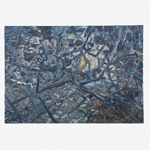 nr.1056003 nr.1056003