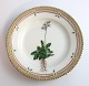 Royal Copenhagen, Flora Danica. Kage tallerken. Design #3551. Diameter 17 cm. (1 
sortering). Saxifraga stellaris L