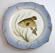 Royal Copenhagen. Fish set No.19. Model 3002. Diameter 22.5 cm. Cyprinus tinca. 
Produced before 1923. (1 quality)