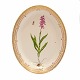 Royal Copenhagen Flora Danica large oval dish #3518. "Orchis  Masculus L.". Year 
1962. Size: 40x32cm