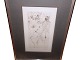 Hans Bellmer etchingErotic anatomy study from the 1960s
