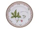 Flora DanicaMiddagstallerken 25,7 cm. #3549