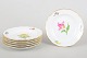 item no:
642257 item no:
642257
