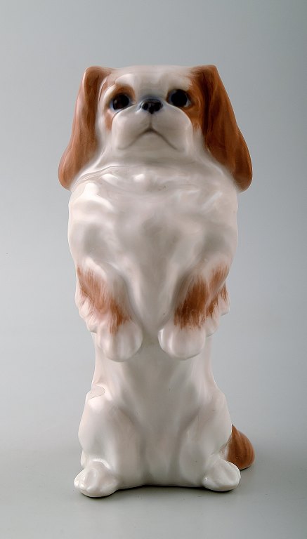 Royal Copenhagen hundefigur, pekingeser.Dekorationsnummer 1776.