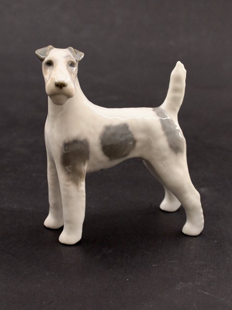 Royal Copenhagen Fox Terrier 3165