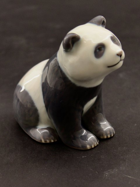Royal Copenhagen 663 pandaunge