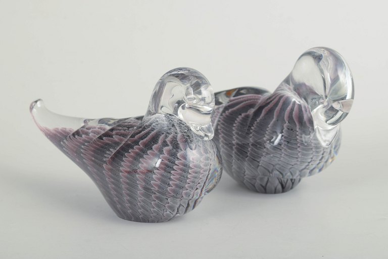 Fm Konstglas, set of 2 ducks, glass sculptures.